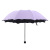 Factory Wholesale Blooming Sun Umbrella Black Glue UV-Proof Sun Umbrella Creative Triple Folding Umbrella