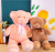 Creative New Cute Teddy Bear Plush Toy Bow Tie Pockets Bear Doll Doll Big Bear Doll Gift Wholesale