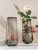 Vase Decoration Living Room Flower Arrangement Glass Bottle Small Nordic Transparent Simple and Light Luxury Aquatic Flowers Lucky Bamboo Lily