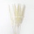 Natural Dry Reed Grass Artificial Dried Plant Home Wedding Bouquet Party Christmas Decor Plants Fake Flower