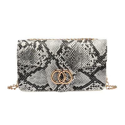 Women's Bag 2021 New Snake Pattern Circle Chain Simple Small Square Bag Casual Shoulder Mobile Phone Bag Foreign Trade One-Piece Delivery