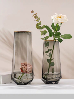 Vase Decoration Living Room Flower Arrangement Glass Bottle Small Nordic Transparent Simple and Light Luxury Aquatic Flowers Lucky Bamboo Lily