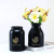 Ins Wide Mouth Black Gilding Leaves Glass Vase Flowers Dried Flower Artificial Flower Creative Home Craft Ornaments