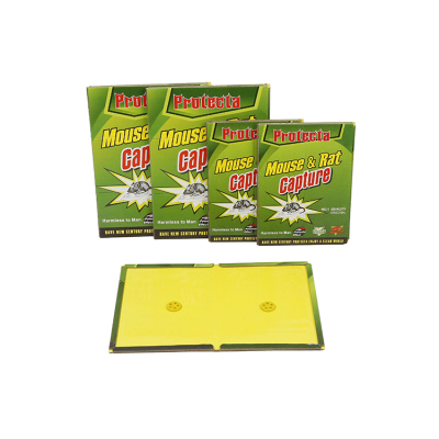Mouse Trap Factory Direct Sales Strong Mouse Sticker Mouse Trap Sticker Glue Mouse Traps Fly Coil Cockroach Stick