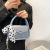 Small Handbags Women's New 2021 Fashionable French Fashionable Stylish Internet Celebrity Messenger Bag Cute Shoulder Bag