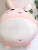 Factory Direct Sales New Cartoon Cute Bunny Plush Toy Animal Pillow Doll to Map and Sample Customization