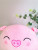Factory Direct Sales New Cartoon Squinting Pig Plush Toy Animal Throw Pillow Doll to Order Pictures and Samples