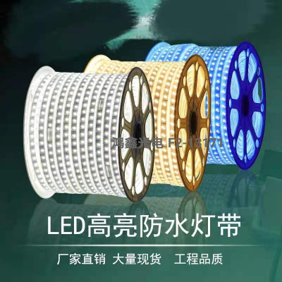 5050 High Pressure Lamp Strip 3014 Light Strip 2835 High Pressure Lamp Strip 5730 Light Strip Waterproof RGB,220V High Pressure Lamp Strip