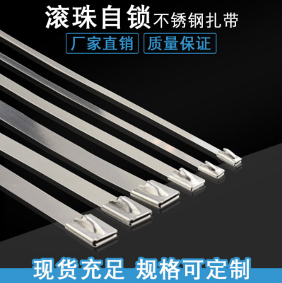 Factory Direct Sales 304 Stainless Steel Ribbon 4.6*300 Self-Locking White Steel Cable Tie Stainless Steel Belt Marine Cable Ties