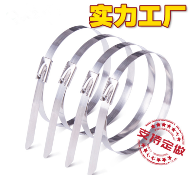 304 Stainless Steel Ribbon 4.6*250 Self-Locking Metal White Steel Strap Tie Wire Ratchet Tie down Buckle Strap High Temperature Resistance