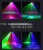 4-Head LaserLight Mini Laser  Animation Laser Light Laser Light 8-Eye Beam Laser Light LED Light Moving Head Light