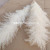  Wedding Special Pampas Grass Decor Large Size Fluffy Feather Home Decoration Plants Natural White Dried Flowers