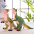 New Simulation Dinosaur Plush Toy Doll Children's Birthday Gifts Tyrannosaurus Rex Doll Double Crown Dragon Triceratops Batch