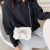 PU Online Influencer Bow Small Bag for Women 2021 New Korean Style Creative Personalized All-Match Shoulder Crossbody Chain Bag Fashion