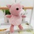 Plush Toys Small Pendant Batches of Dolls Prize Claw Doll Wedding Ceremony Drip Wedding Prize Claw Doll Small Size