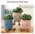 Factory Direct Sales Artistic Cute Simulation Succulent Flower Plush Toy Home Decoration Doll Sample Customization