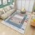 Living Room Carpet Geometric Modern Minimalist Sofa Coffee Table Cushion Nordic Bedroom Wall-to-Wall Carpeting Bedside Floor Mat