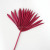 Natural Dried Flower Cattail Fan Plants Nordic Big Leaf Sunflower Palm Leaf Home Decor DIY Wedding