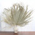 Palm Fan Leaf Dried Flower Natural Plants Leaves Window Reception Party Art Wall Hanging Decoration Wedding Arch Arrange