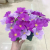 Little Cuihua Rich Chrysanthemum Pansy Jumping Orchid Chrysanthemum Emulational Flower and Silk Flower Plastic Flowers Simulation Plant Ornamental Flower