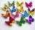 New Single-Layer Magnet Butterfly Three-Dimensional Butterfly Sticker Refridgerator Magnets Decorative Sticker