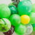 Rubber Balloons New Jungle Party Decoration Birthday Party Supplies Dinosaur Balloon Arch Balloon Set Cartoon Animal