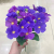 Little Cuihua Rich Chrysanthemum Pansy Jumping Orchid Chrysanthemum Emulational Flower and Silk Flower Plastic Flowers Simulation Plant Ornamental Flower