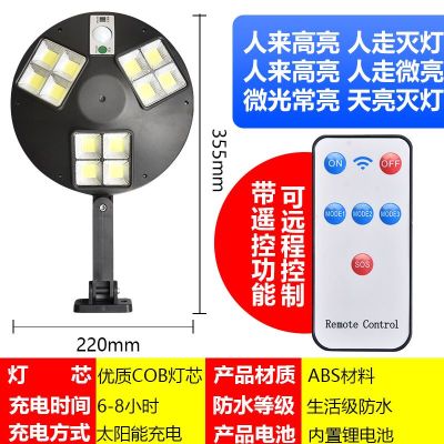 Solar Induction Street Lamp