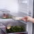 Pet Refrigerator Refrigerated Storage Box Fruit and Vegetable Crisper Can Be Frozen Dumplings Box