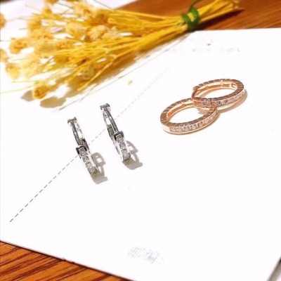 925 Silver High Sense Simple Earrings Special-Interest Design Korean Stud Earrings Graceful Online Influencer Personalized Ear Studs Female