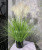 artificial pampas grass artificial phragmites&artificial reed flowers&bulrush flowers communis wedding flower bunch