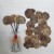 New Natural Retro Copper Coin Leaf Flower Arrangement Design Sesame Oil Bookmark Decorative Background Preschool Education Packaging Handmade DIY