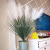 Wild reed branch Small Pampas Grass Phragmites Artificial Plants Wedding Flower Bunch for Home Decor Fake Flowers