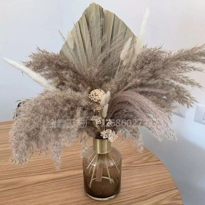  Free Shipping Dried Pampas Grass Decor Wedding Flower Bunch Natural Plants for Home Christmas Decorations 2021