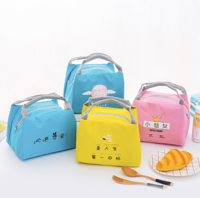 New Portable Small Lunch Box Bag Outdoor Thickened Winter Warm Insulated Bag Cartoon Cute Pet Lunch Bag