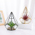 Nordic Style Decoration Geometric Row Glass Greenhouse Artificial Succulent Pant Home Study Micro Landscape Decoration