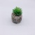 Mini Simulation Succulent Bonsai Set Plant Decoration Small Stone Cement Home Living Room Study Restaurant Decoration