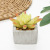 Artificial Succulent Pant Potted Square Pot Succulent Ornament Decoration Emulational Greenery Bonsai Crafts
