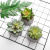 Imitation Marble Bonsai Decorations Artificial Succulent Pant Home Decoration Gift Artificial Flower Green Plant Potted Simple