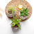 Succulent Plants Pot Hedgehog Cement Pots Simulation Plant Home Decorations Bonsai Decoration Factory Direct Sales