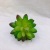 Simulation Succulent Green Plant DIY Microview Jiaju Office Dining Room and Study Room Store Decorative Flower Arrangeme