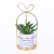 Artificial Succulent Pant Wrought Iron Cement Potted Crafts Home Living Room and Study Decoration Ceramic Simulation Pot