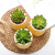 Artificial Succulent Pant Potted Pineapple Decoration Home Office Dining Room and Study Room Decorative Crafts Creative 