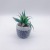 Nordic Emulational Greenery Bonsai Succulent Plant Home Office Living Room Study Decoration Gift