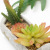 Artificial Potted Succulent Plant Cement Wine Bottle Loungewear Gift Living Room Dining Room and Study Room Decoration 
