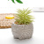 Succulent Plants Pot Hedgehog Cement Pots Simulation Plant Home Decorations Bonsai Decoration Factory Direct Sales