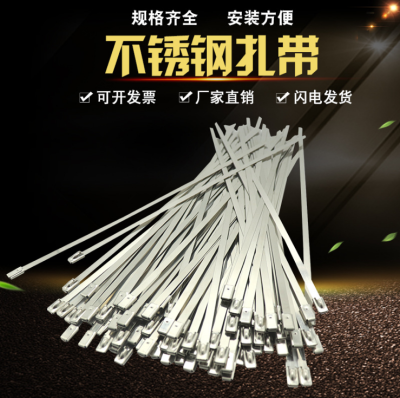 Stainless Steel Ribbon Shuangjun Electric Marine Steel Metal Tie 4.6x200 Customizable Length Traffic Strap
