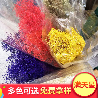 Manufacturers Supply Starry Dried Flower Bridal Headdress Shooting Props Epoxy Glass Cover Filling Dried Flowers Gypsophila