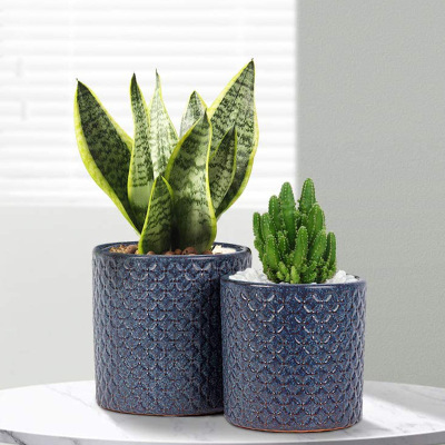 Wholesale Custom Nordic Modern Minimalist Small and Medium Ceramic round Green Plant Flower Pot Desktop Office Decorations