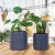Wholesale Custom Nordic Modern Minimalist Small and Medium Ceramic round Green Plant Flower Pot Desktop Office Decorations